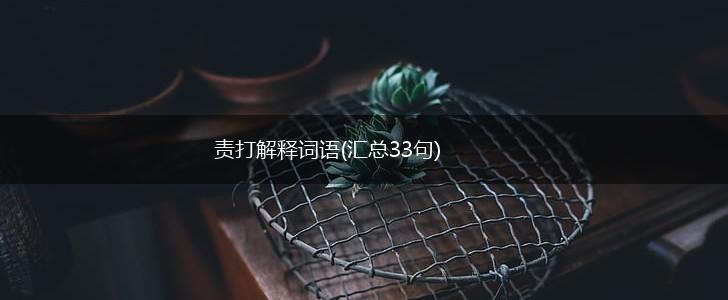 责打解释词语(汇总33句),第1张