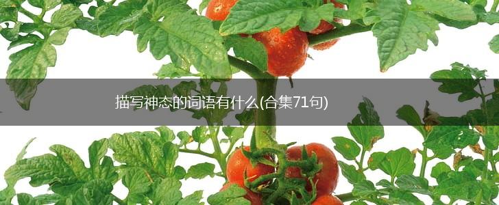 描写神态的词语有什么(合集71句),第1张