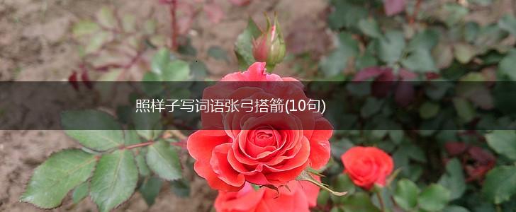 照样子写词语张弓搭箭(10句),第1张