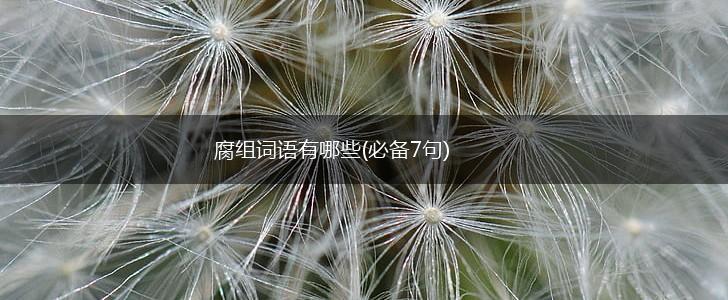 腐组词语有哪些(必备7句),第1张