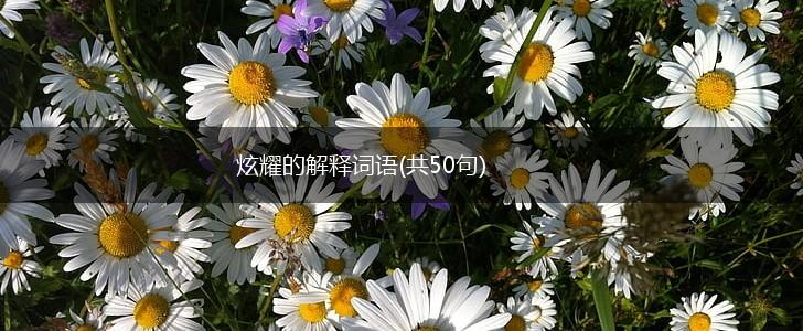 炫耀的解释词语(共50句),第1张
