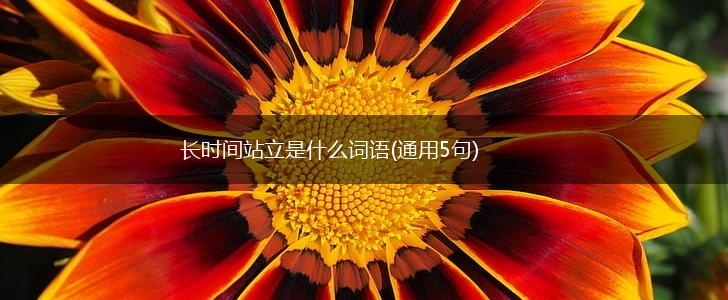 长时间站立是什么词语(通用5句),第1张