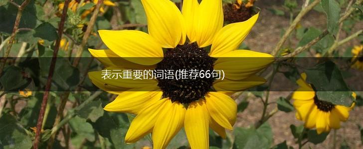 表示重要的词语(推荐66句),第1张