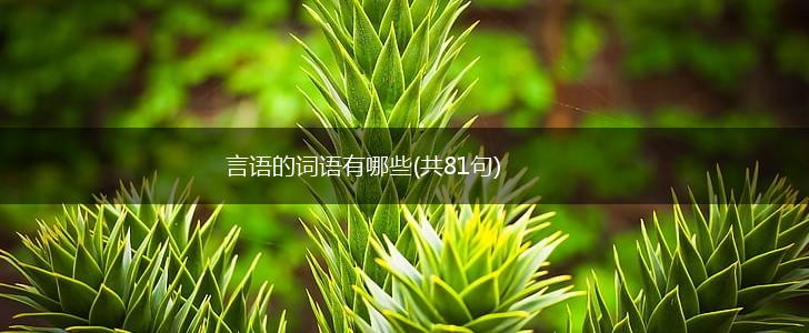 言语的词语有哪些(共81句),第1张