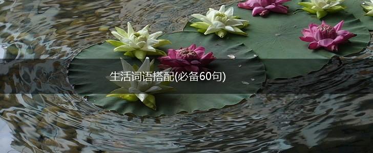 生活词语搭配(必备60句),第1张