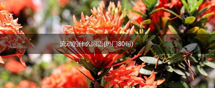 流动的什么词语(热门80句),第1张