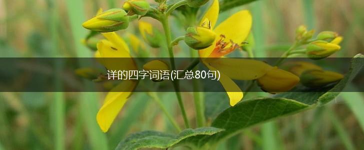 详的四字词语(汇总80句),第1张