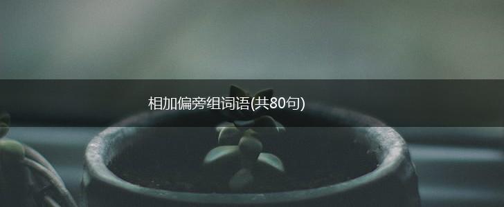 相加偏旁组词语(共80句),第1张