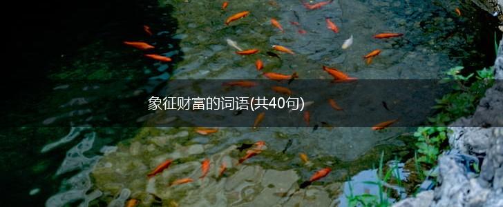 象征财富的词语(共40句),第1张