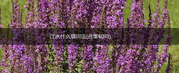 江水什么填词语(合集40句),第1张