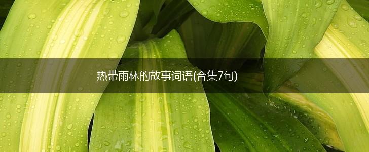 热带雨林的故事词语(合集7句),第1张