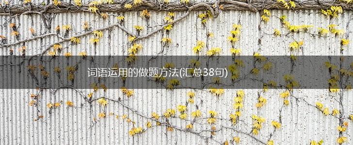 词语运用的做题方法(汇总38句),第1张