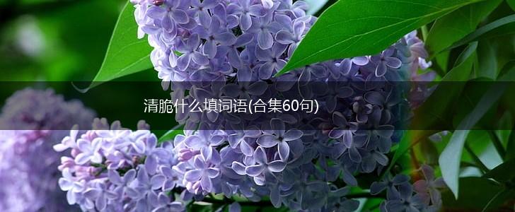 清脆什么填词语(合集60句),第1张