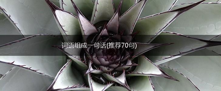 词语组成一句话(推荐70句),第1张