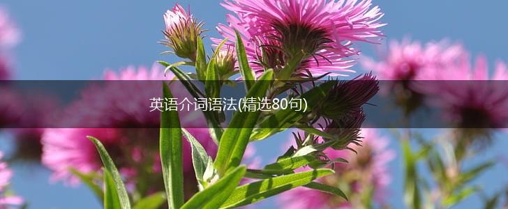 英语介词语法(精选80句),第1张