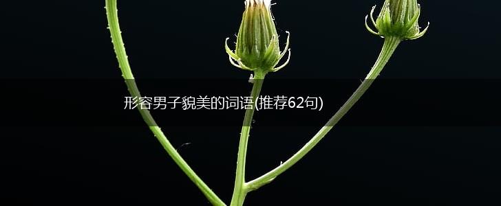 形容男子貌美的词语(推荐62句),第1张