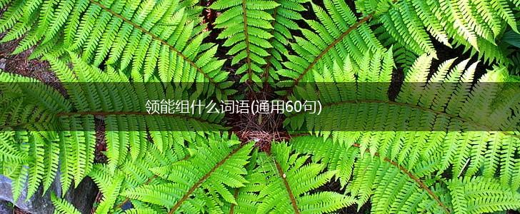 领能组什么词语(通用60句),第1张