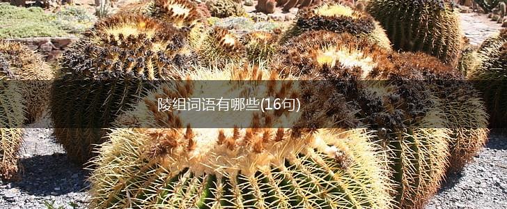 陵组词语有哪些(16句),第1张