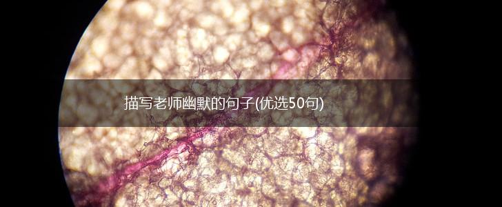 描写老师幽默的句子(优选50句),第1张