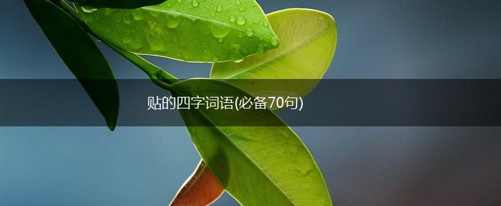 贴的四字词语(必备70句),第1张