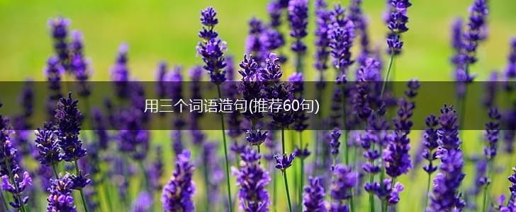 用三个词语造句(推荐60句),第1张