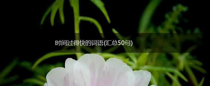 时间过得快的词语(汇总50句),第1张
