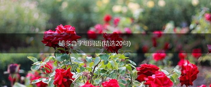 铺多音字组词语(精选20句),第1张