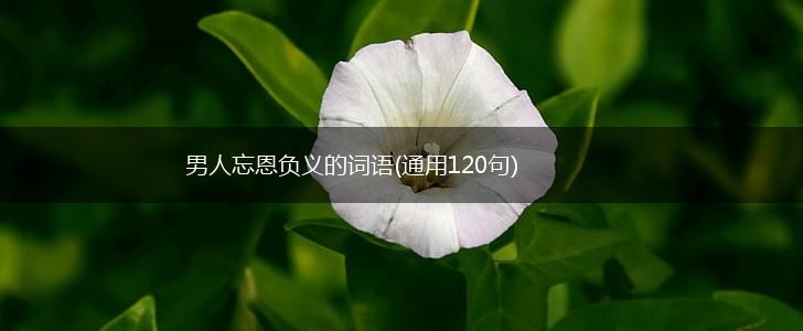 男人忘恩负义的词语(通用120句),第1张