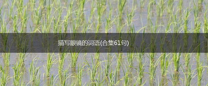 描写眼镜的词语(合集61句),第1张
