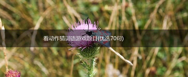 看动作猜词语游戏题目(优选70句),第1张
