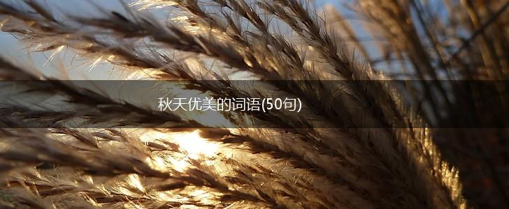 秋天优美的词语(50句),第1张
