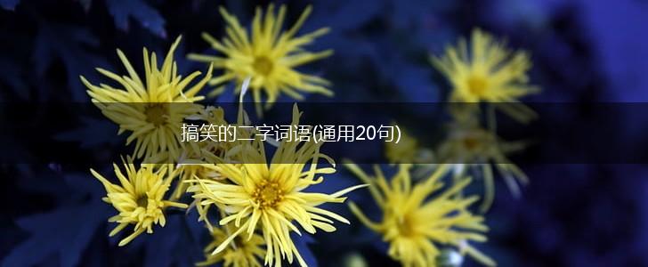 搞笑的二字词语(通用20句),第1张
