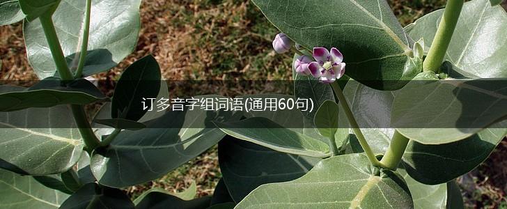 订多音字组词语(通用60句),第1张