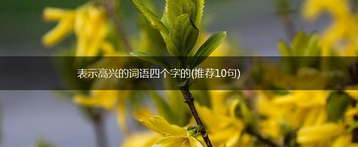 表示高兴的词语四个字的(推荐10句),第1张