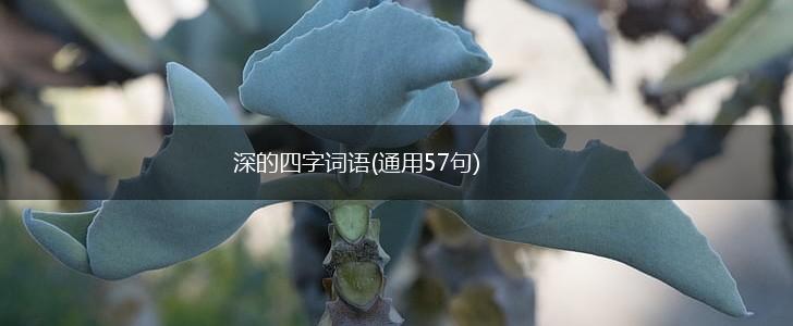 深的四字词语(通用57句),第1张