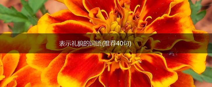 表示礼貌的词语(推荐40句),第1张