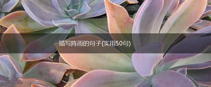 描写阵雨的句子(实用50句),第1张