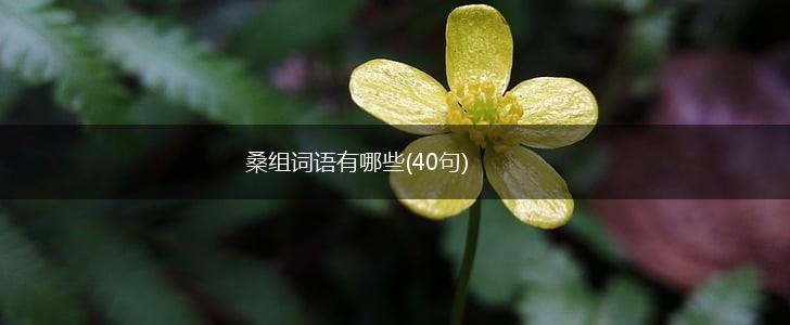 桑组词语有哪些(40句),第1张
