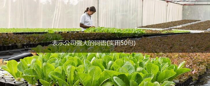 表示公司强大的词语(实用50句),第1张