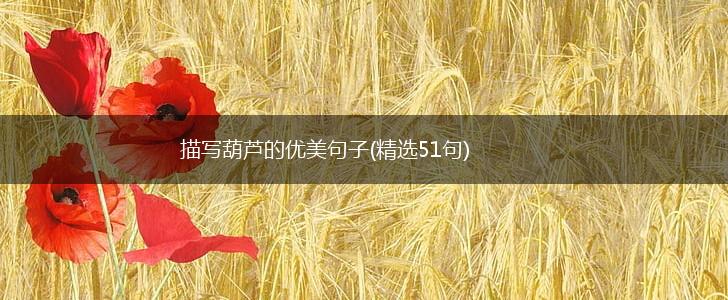 描写葫芦的优美句子(精选51句),第1张