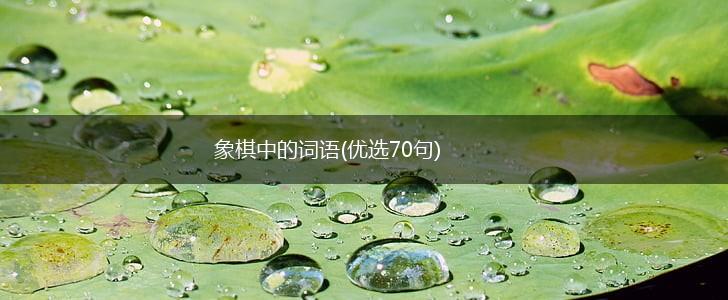象棋中的词语(优选70句),第1张