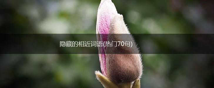 隐藏的相近词语(热门70句),第1张