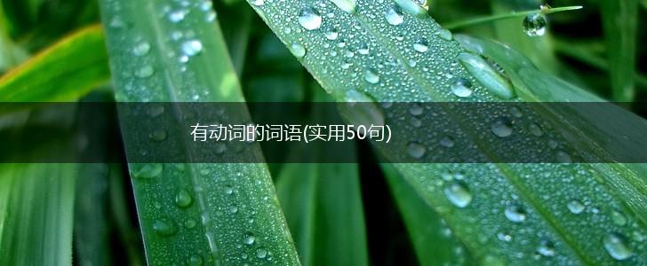 有动词的词语(实用50句),第1张