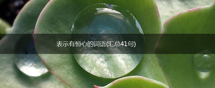 表示有恒心的词语(汇总41句),第1张
