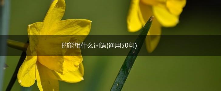 的能组什么词语(通用50句),第1张