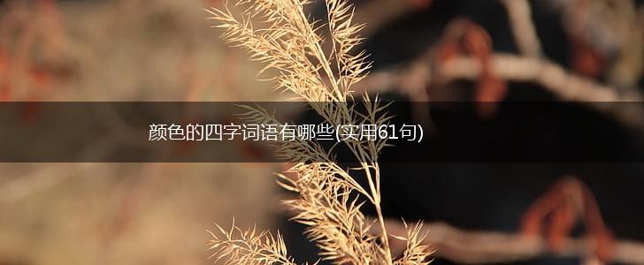 颜色的四字词语有哪些(实用61句),第1张