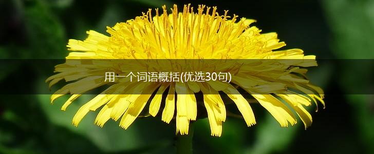 用一个词语概括(优选30句),第1张