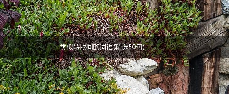 类似转眼间的词语(精选50句),第1张