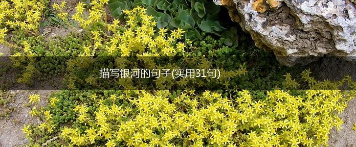 描写银河的句子(实用31句),第1张