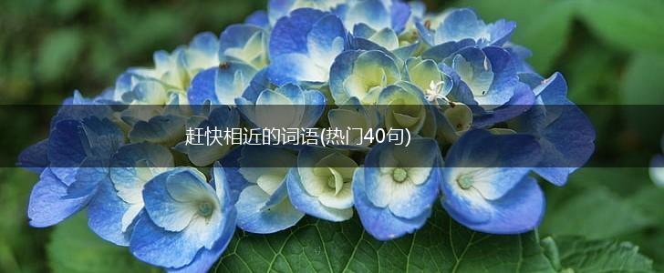 赶快相近的词语(热门40句),第1张